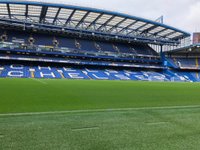 Stamford Bridge Stadium in London: 13 reviews and 88 photos