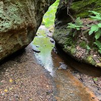 Escape to the Ledges: A Nature Lover's Paradise in Ohio's Nelson Kennedy Ledges State Park