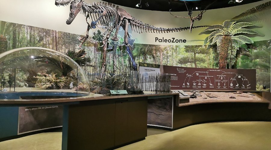 Delaware Museum of Nature and Science - 그린빌 - Delaware Museum of Nature and Science의 리뷰 - 트립어드바이저