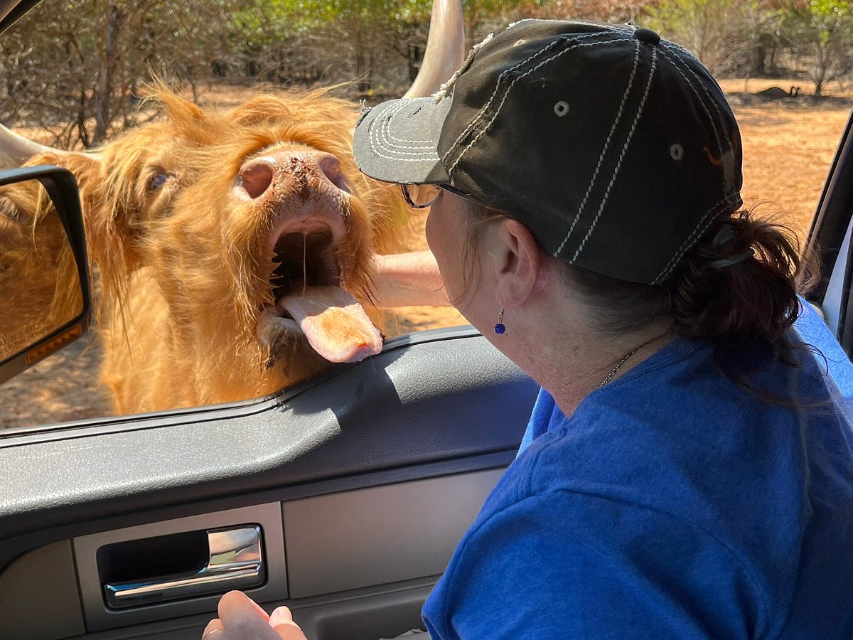 rocky ridge drive thru safari eustace tx