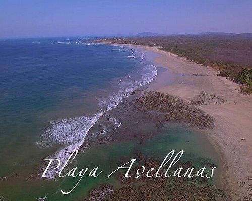 THE 5 BEST Playa Avellanas Adrenaline & Extreme Tours (2024)