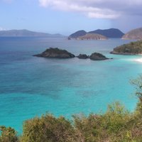 Snorkel St. John Tour from Sapphire and Margaritaville