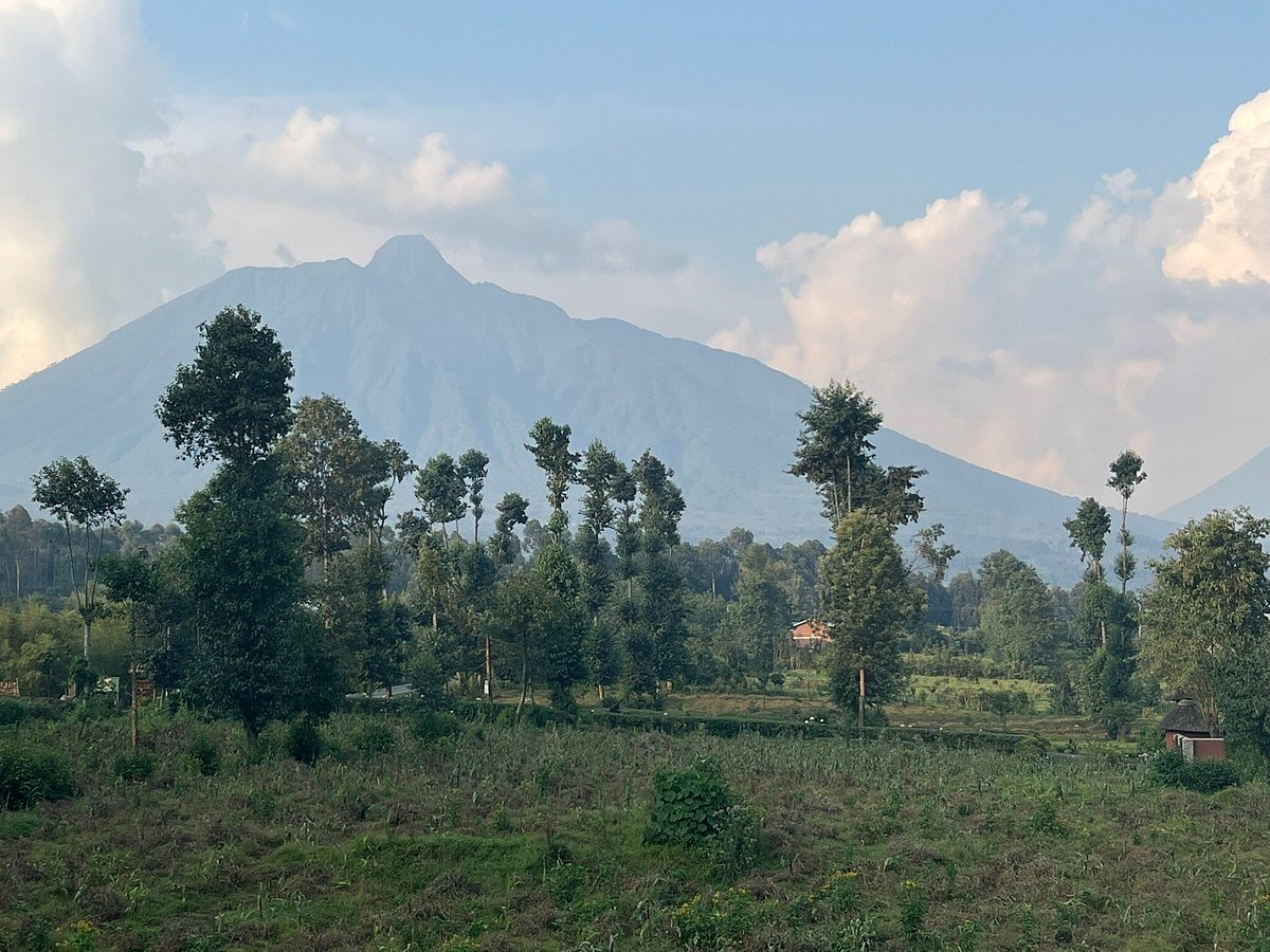 Virunga Mountains|Gorilla Trekking Safaris