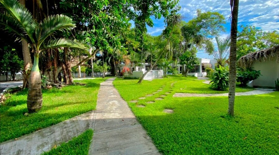 Area Jardín 