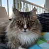 Katherine