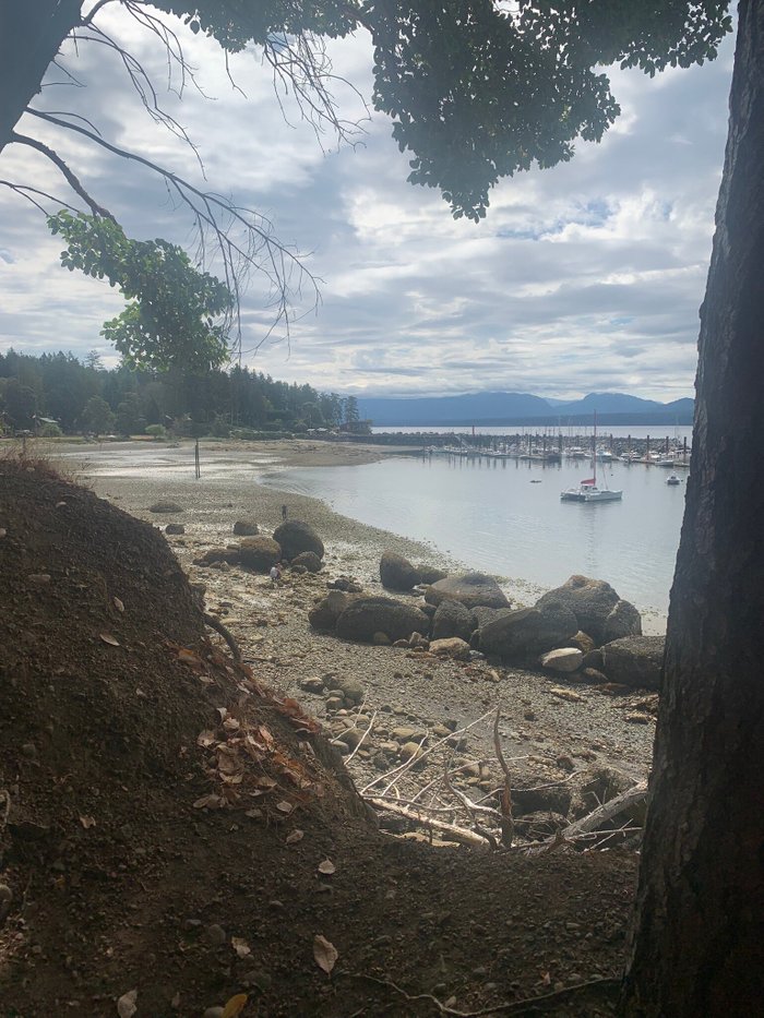 Fords Cove Marina Waterfront Cottages Hornby Island Kanada Motel