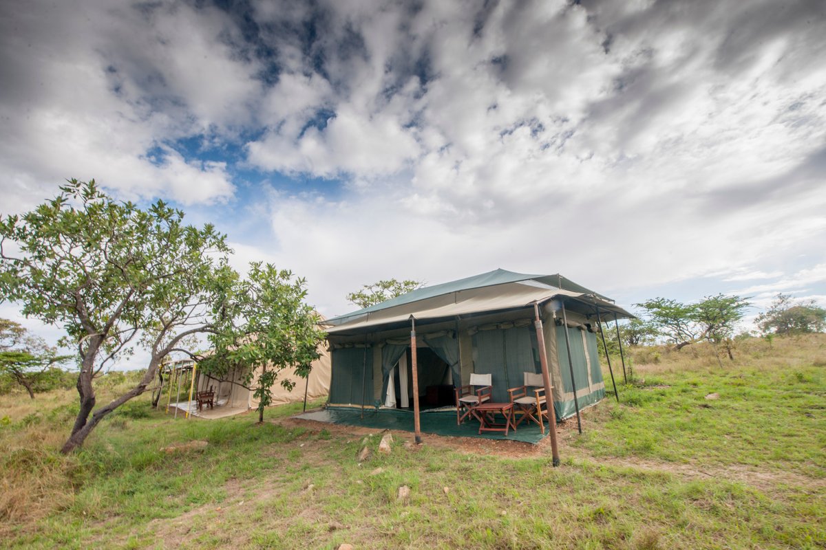 Acacia Migration Camp Rooms: Pictures & Reviews - Tripadvisor