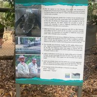 Billabong Sanctuary (townsville): All You Need To Know