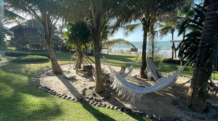 Hammock in the garden