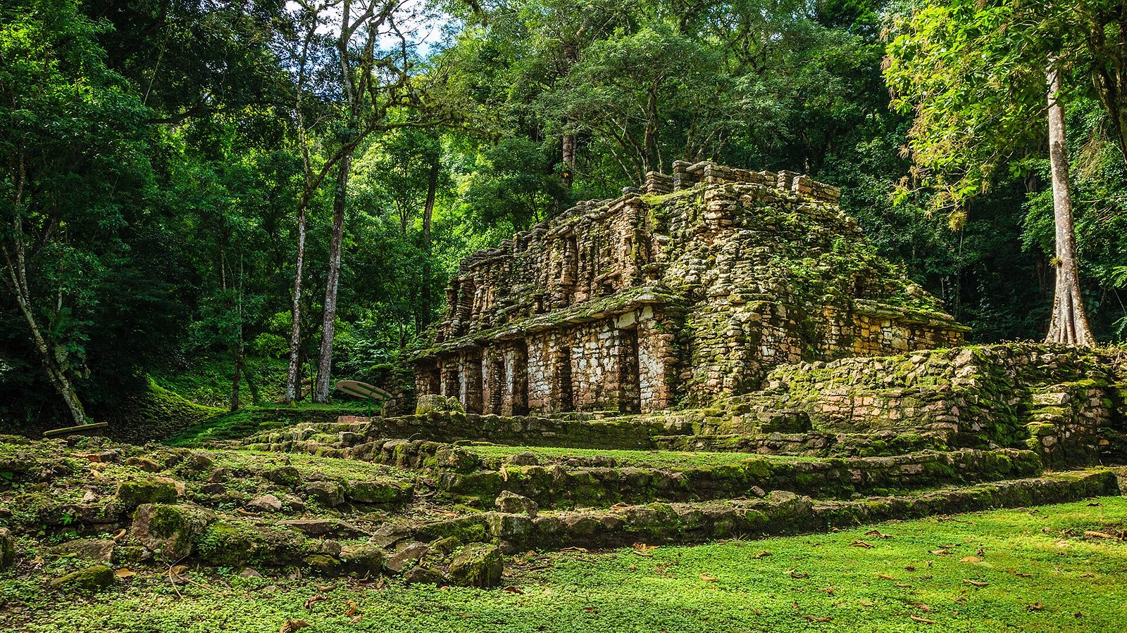 Mayan ruins in Mexico: 4 best sites to visit - Tripadvisor