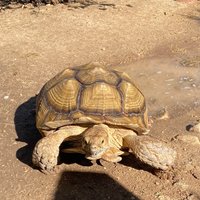 Heritage Park Zoo (Prescott) - All You Need to Know BEFORE You Go