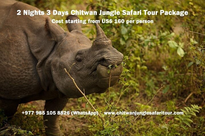 2024 2 Nights 3 Days Chitwan National Park Jungle Safari Tour Package ...