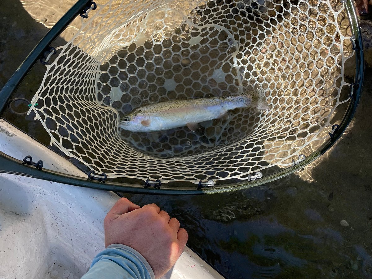 Flathead River - Wild Montana Anglers