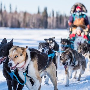 Guided Fairbanks Snowmobile Tour | AK