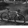Fixie Nut
