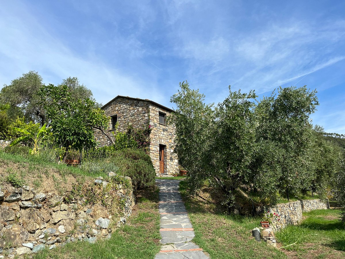 AGRITURISMO ULIVETO NEL PARCO - Updated 2024 Farmhouse Reviews ...