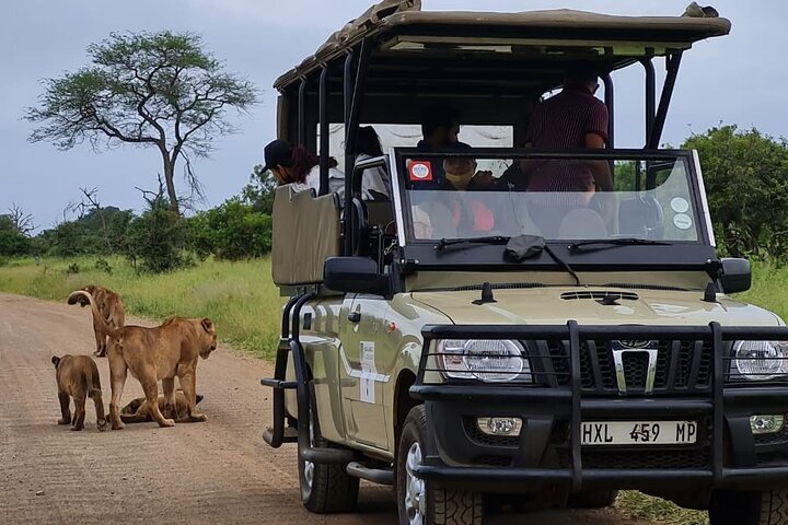 2025 Safari Drive Kruger National Park (Komatipoort)