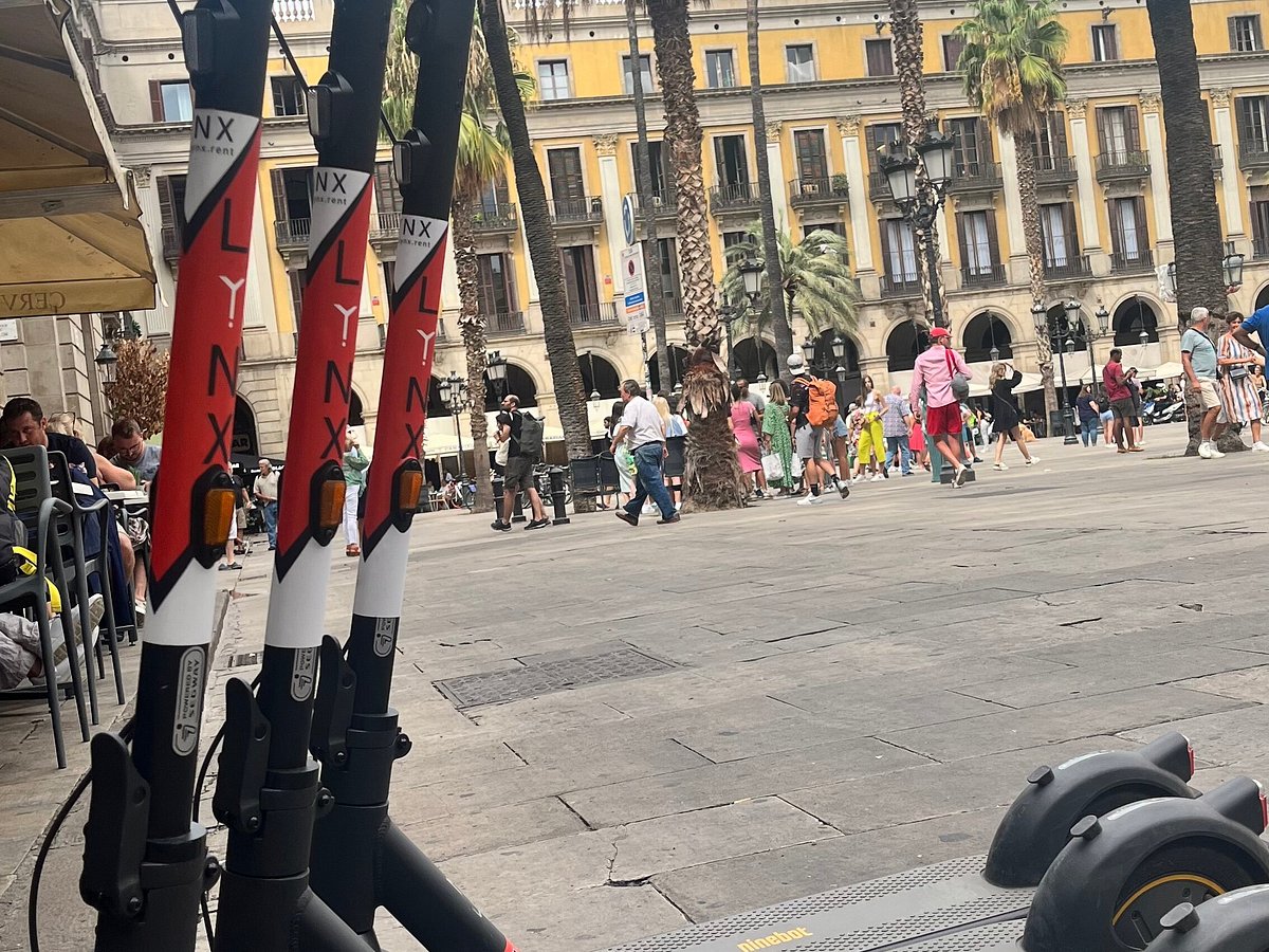 kommando logik Majestætisk LYNX | Rent Electric Scooters (Barcelona) - All You Need to Know BEFORE You  Go