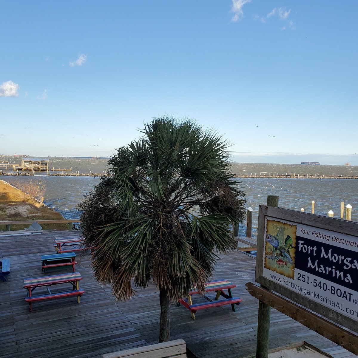 Fort Morgan Marina (Gulf Shores) - 2022 Lo que se debe saber antes de ...