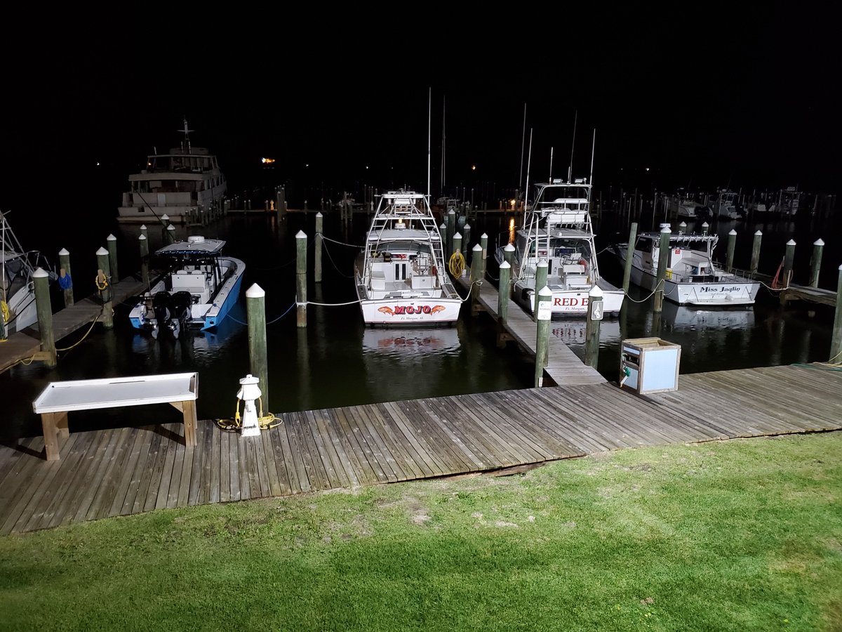 FORT MORGAN MARINA (Gulf Shores) - Qué SABER antes de ir