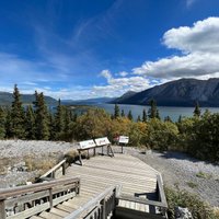 2023 Skagway Shore Excursion: Full-Day Tour of the Yukon