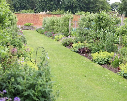 THE 10 BEST Surrey Gardens (Updated 2024) - Tripadvisor