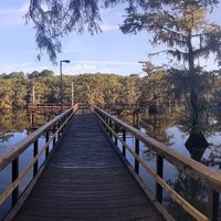 Caddo Lake State Park (Karnack) - All You Need to Know BEFORE You Go