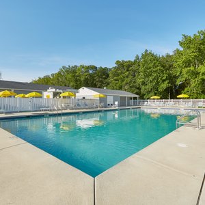 Pool area with lounge chairs and umbrellas.
