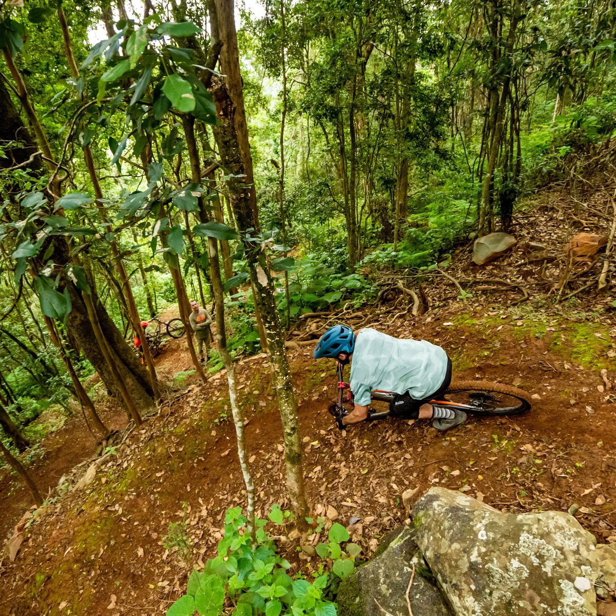 Barrington Bike Park (Bindera) - 2022 Lohnt es sich? (Mit fotos)