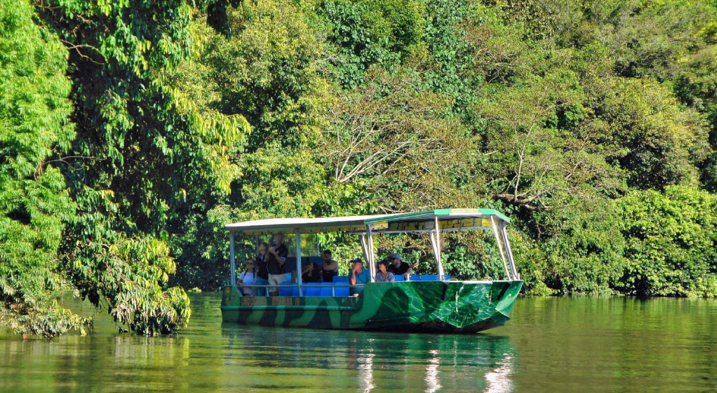 daintree river cruise crocodile