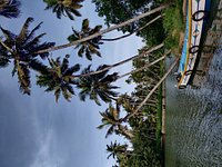On a country boat to Golden Island! - Review of Ponnumthuruthu Island,  Varkala Town, India - Tripadvisor
