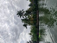 On a country boat to Golden Island! - Review of Ponnumthuruthu Island,  Varkala Town, India - Tripadvisor