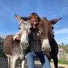 Donkeys and Friends