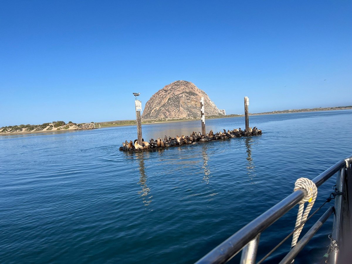 sub tours morro bay