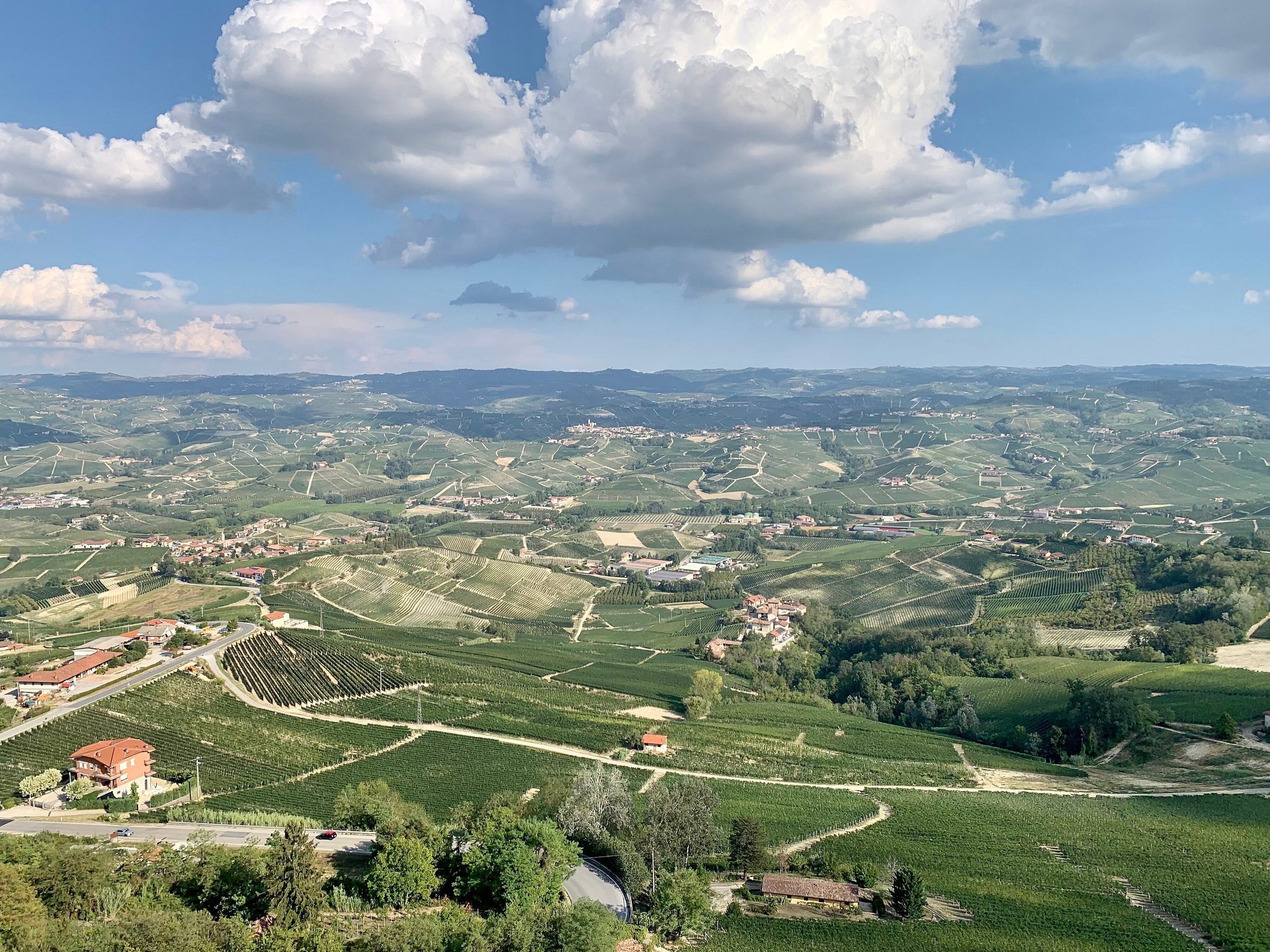 langhe wine tours