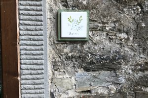 Room & Suite