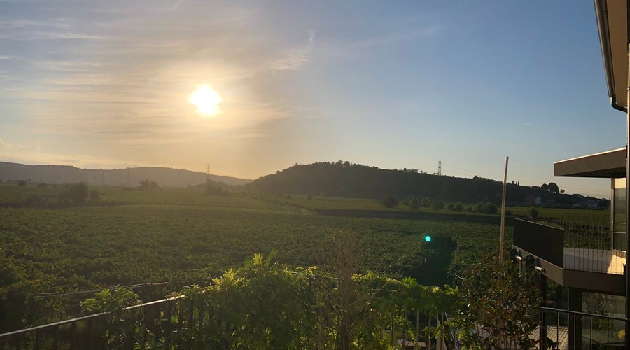 Blick aus dem Zimmer