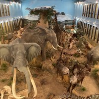 Lasting Legacy Wildlife Museum (Ritzville) - All You Need to Know ...