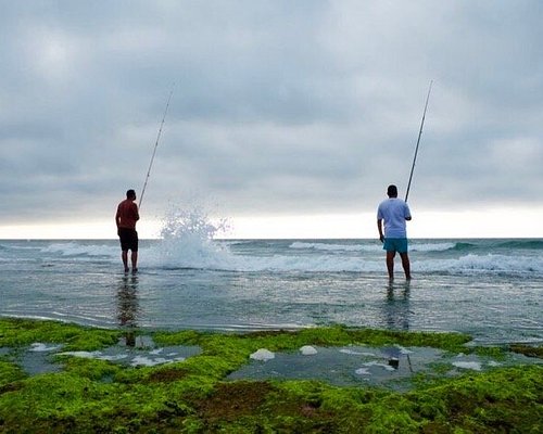tour touristique casablanca