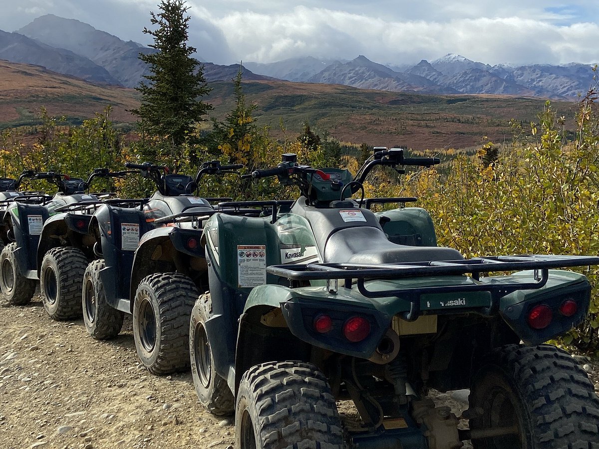 denali park atv tours