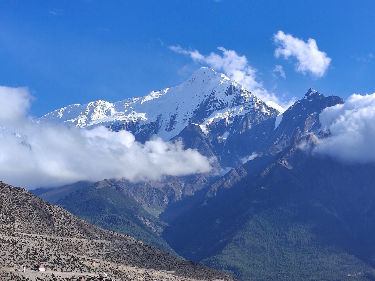 HOTEL MAJESTY (Nepal/Jomsom) - Hotel Reviews & Photos - Tripadvisor