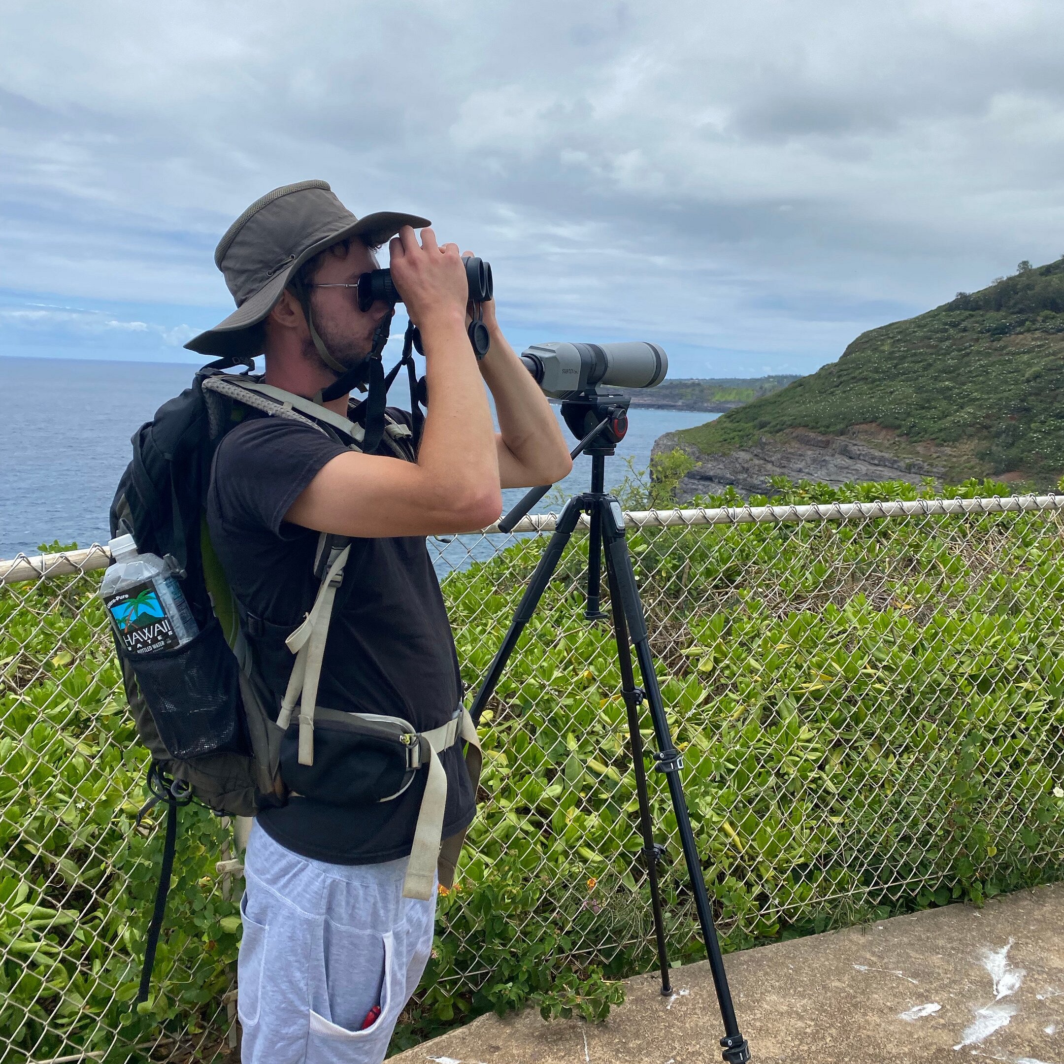 kauai birding tours