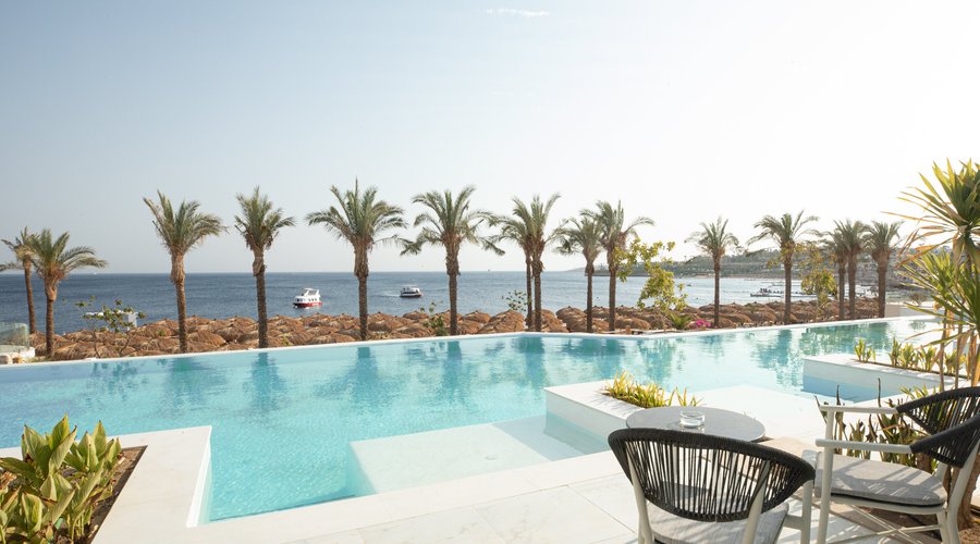 Junior Swim-Up Suite
