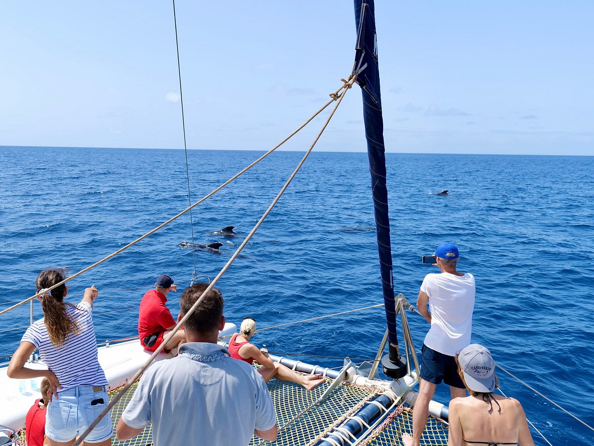 Cape Verde Sailing (Santa All You Need to Know BEFORE You Go