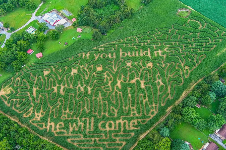 stickleys haunted corn maze