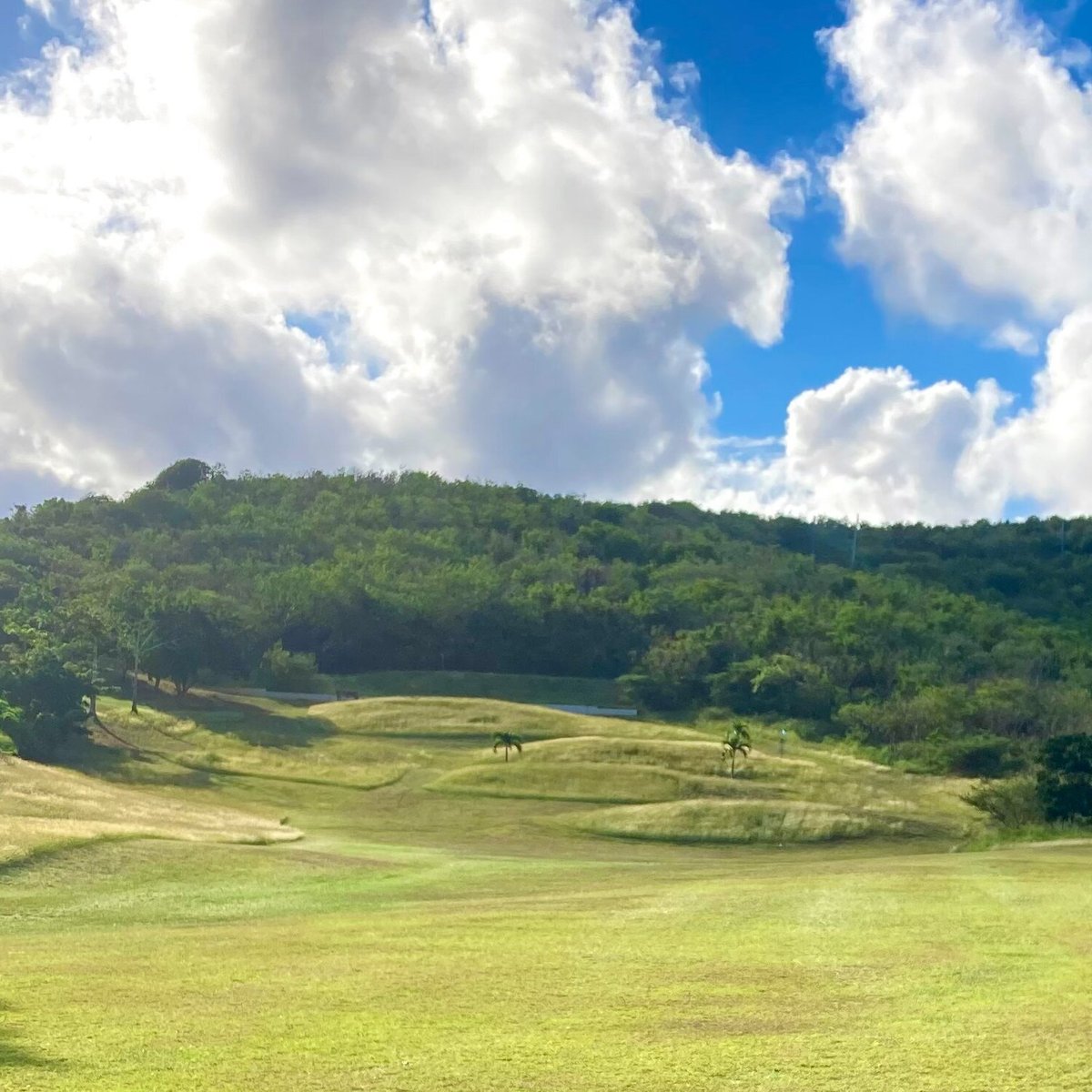 Reef Club Golf Course (St. Croix) All You Need to Know BEFORE You Go