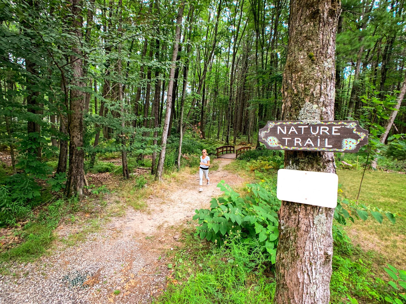 Escape to Maine Wild Acres: Where Family Adventures Bloom