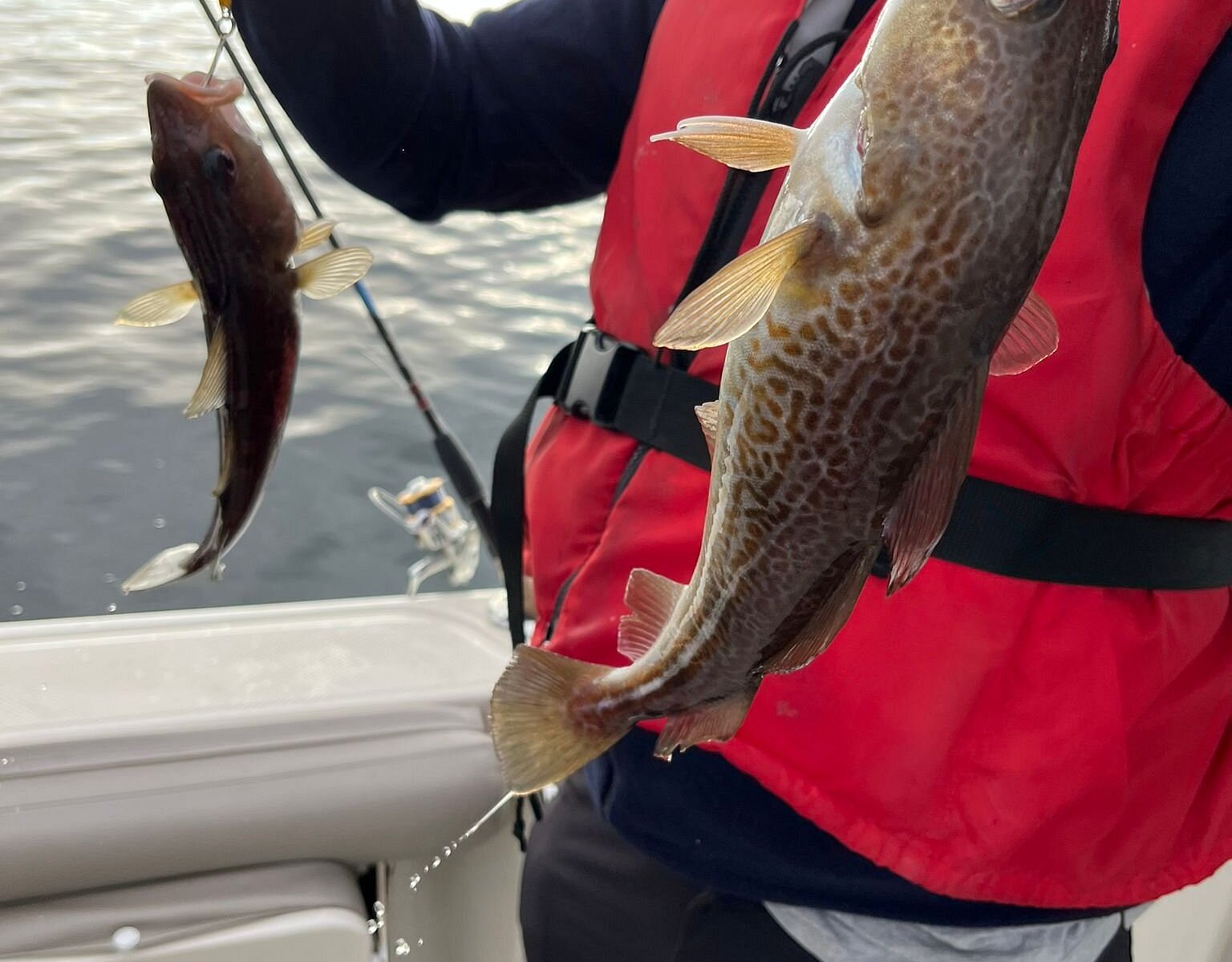 oslo fishing trip