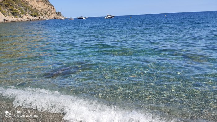 Imagen 2 de Playa Fonda, Begur (Platja Fonda, Begur)