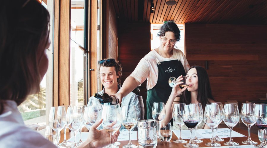 Guided wine tasting in the cellar door